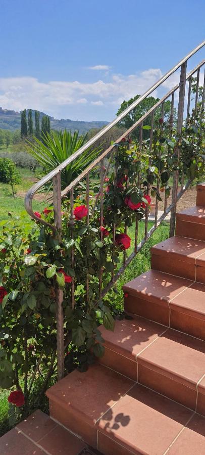 Casa Vacanze Cerreto 3 Miglianico Buitenkant foto